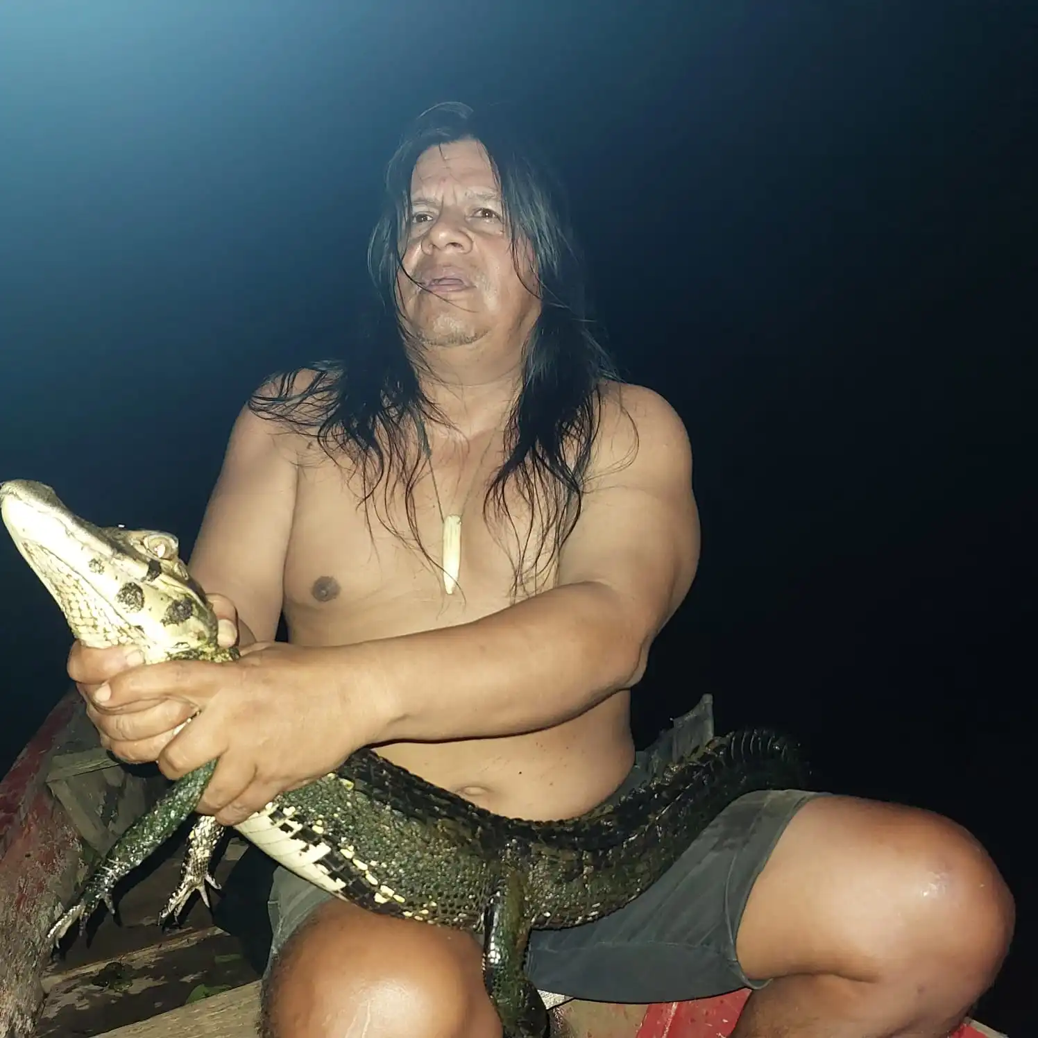 Árvore gigante na floresta amazônica