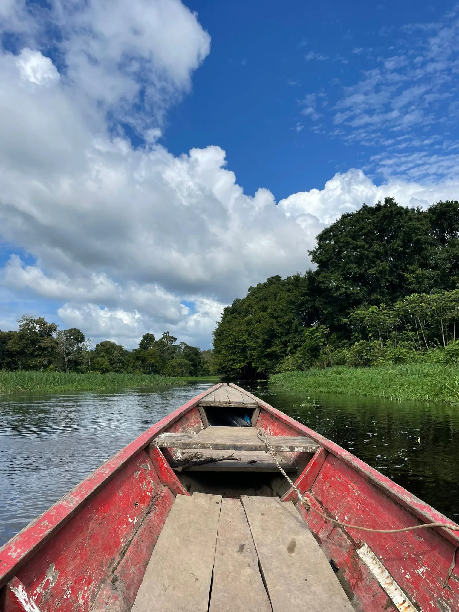 Experiência de pesca na floresta amazônica