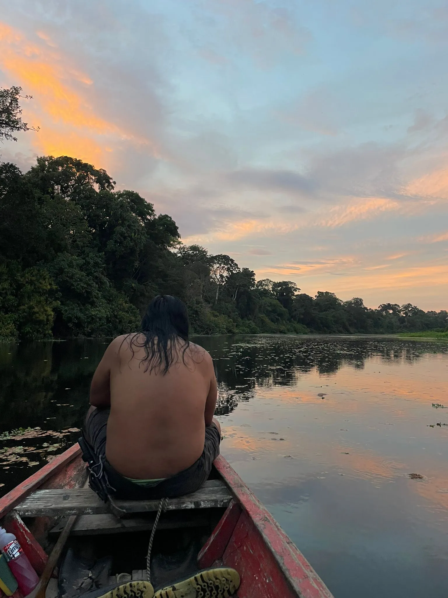 Trilha e natureza na Amazônia