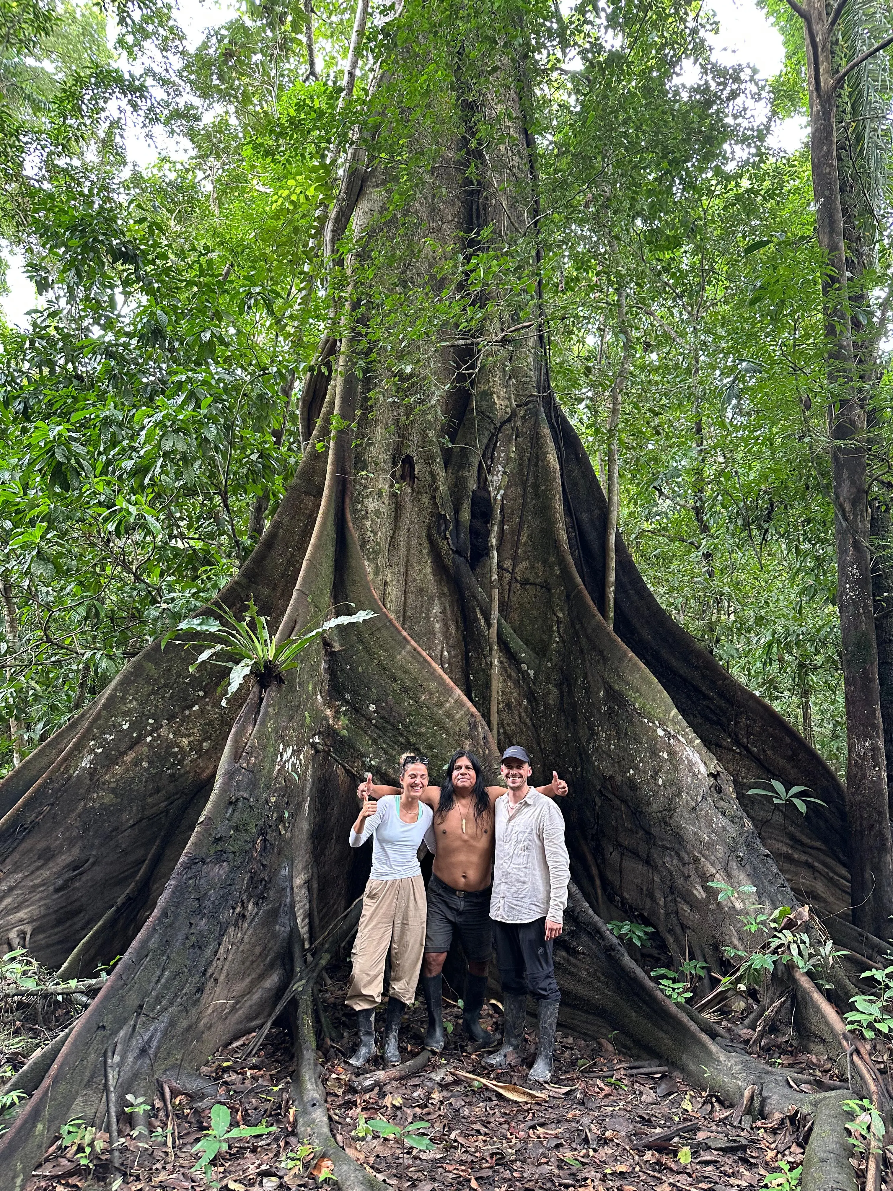 Passeio em paisagem amazônica