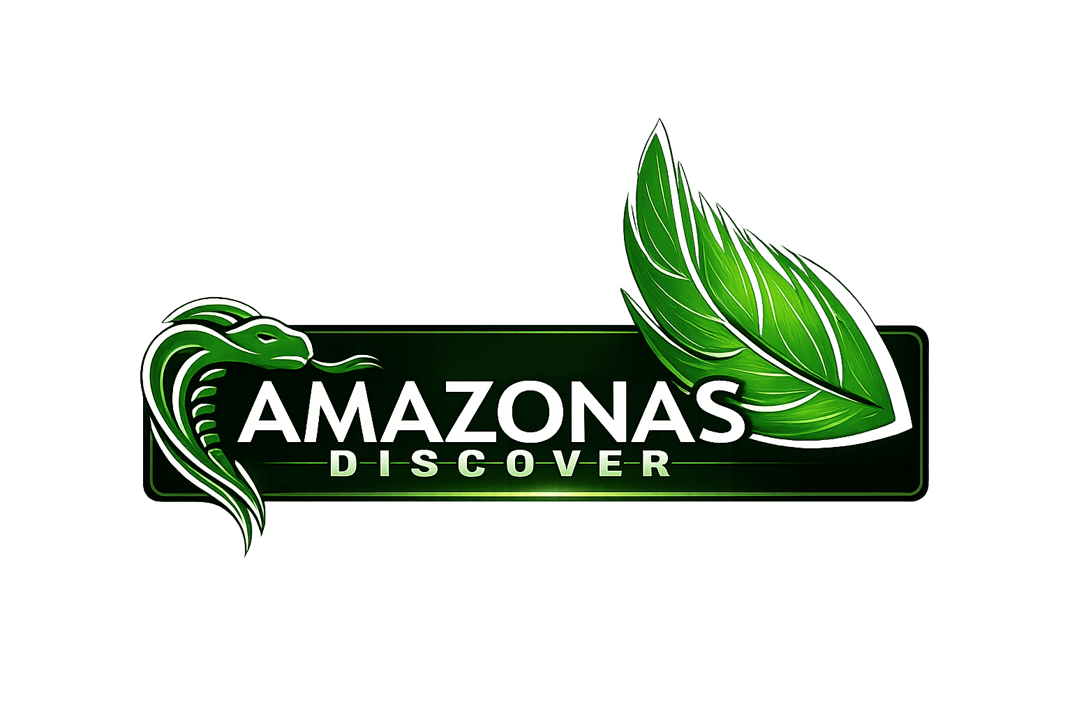 Amazonas Discover logo